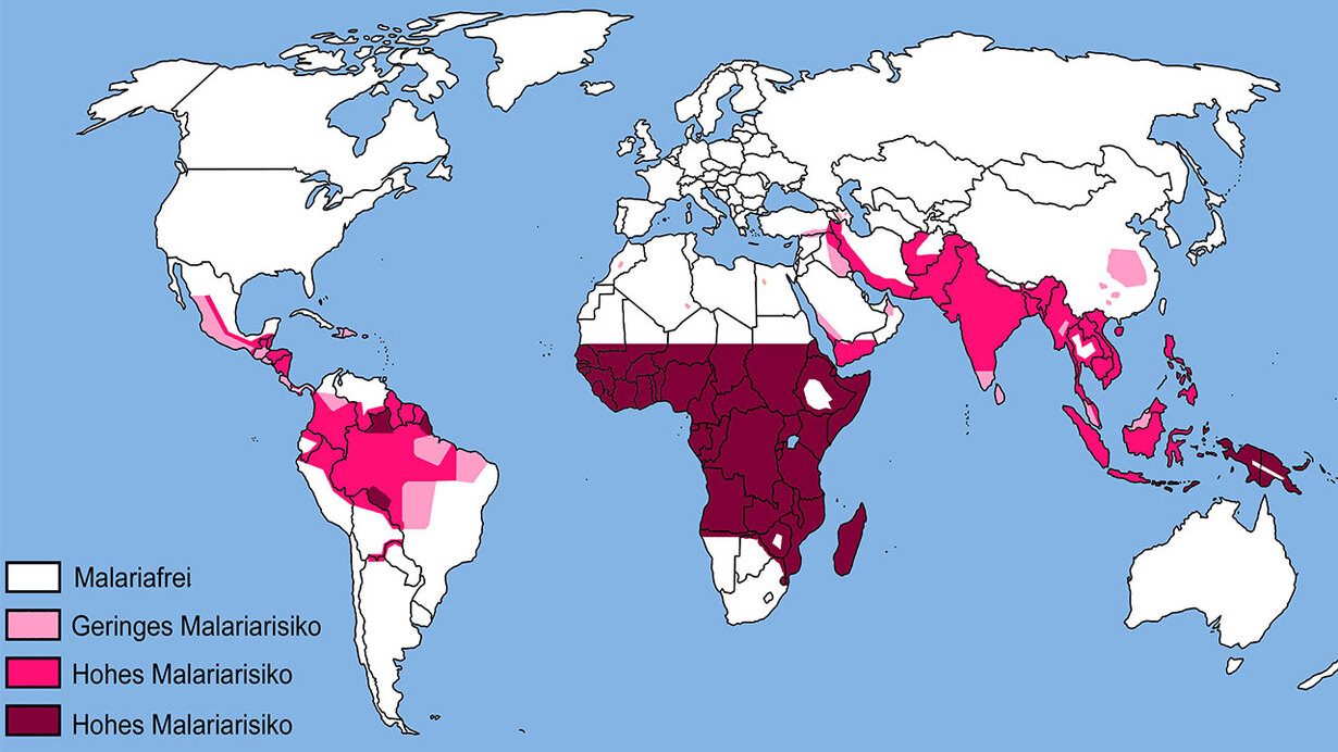 Hintergrundbild: Weltkarte Malariarisiko