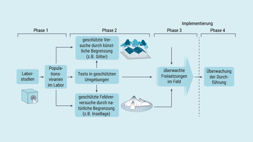 Die schematische Abbildung zeigt die vier im Haupttext beschriebenen Phasen des Plans zur Testung und Implementierung von Gene Drives gegen Malaria.