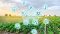 Sensoricons auf Feld - Symbolbild Digitalisierung in der Landwirtschaft