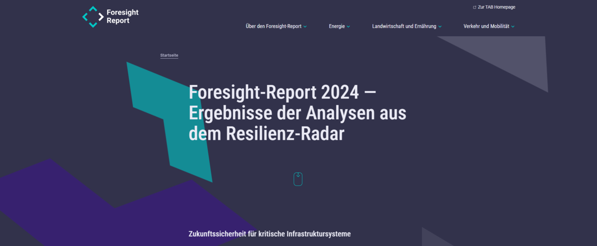 Screenshot Microsite Foresight-Report 2024