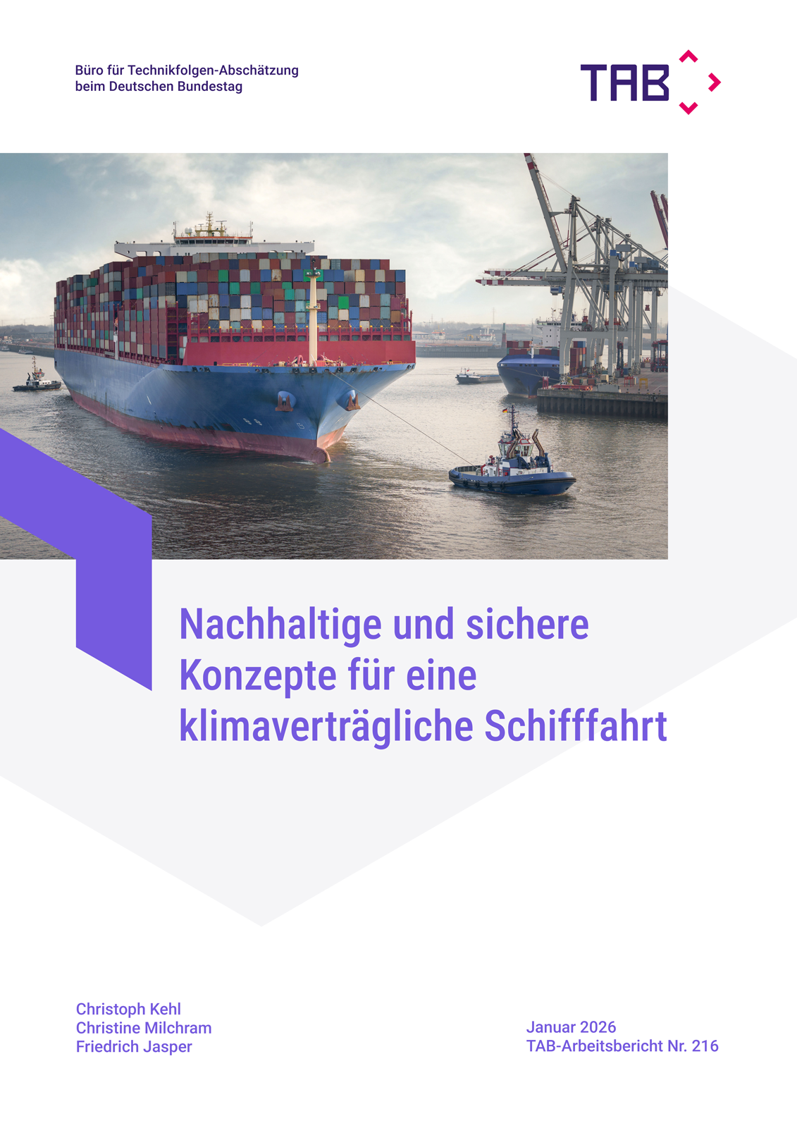 Cover TAB-Arbeitsbericht Nr. 216 mit Abbildung eines großen Containerschiffs im Hafen, im Hintergrund Krananlagen.